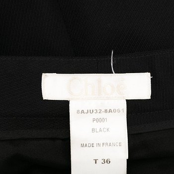 бирка Юбка Chloe