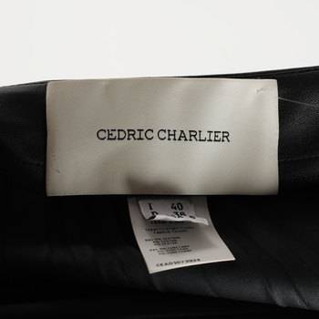 бирка Юбка Cedric Charlier