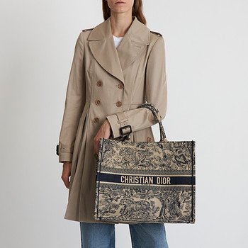 Сумка Christian Dior