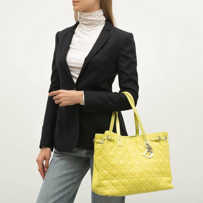 Сумка Christian Dior
