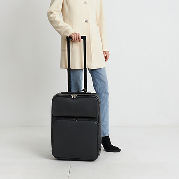 Чемодан Louis Vuitton