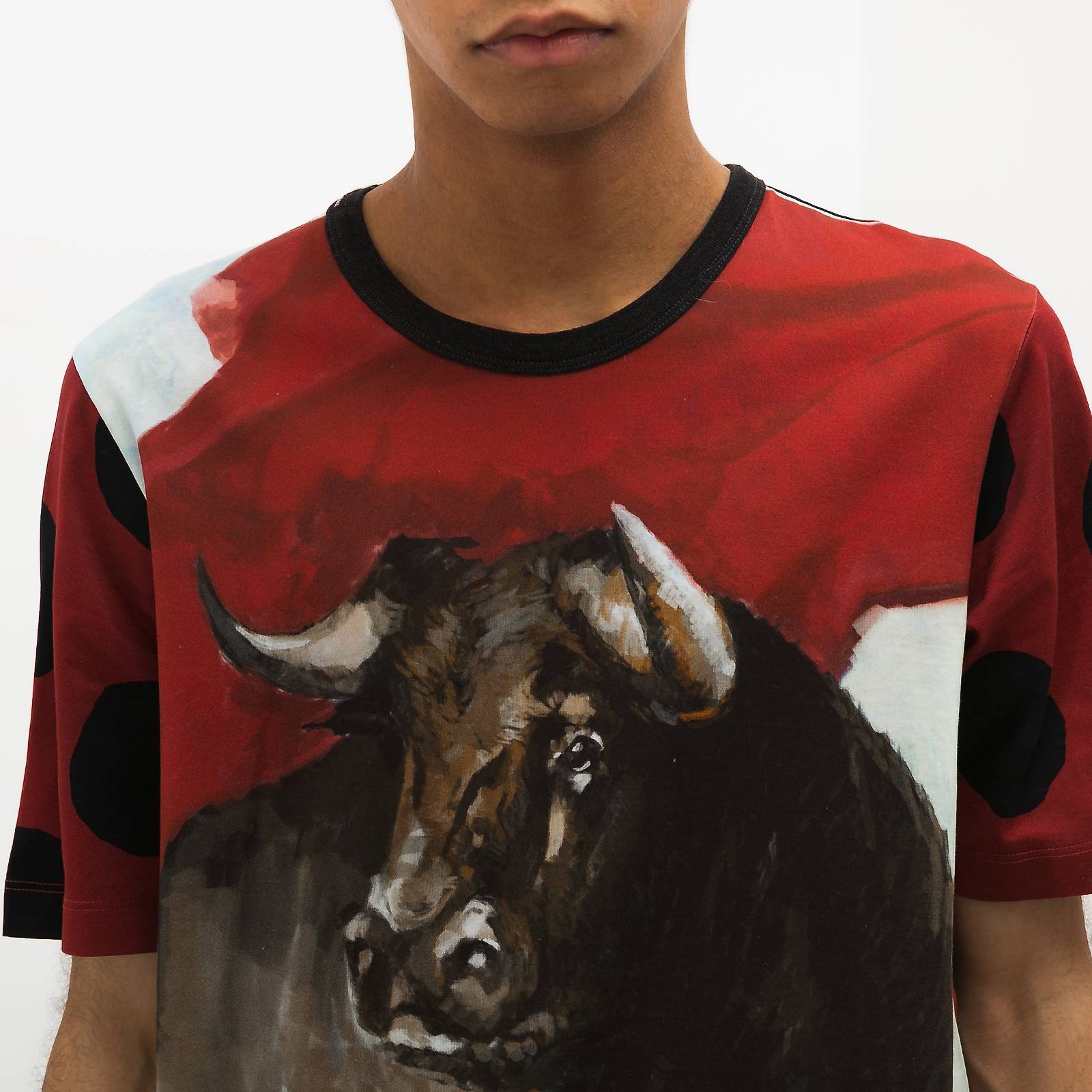 Футболка Dolce&Gabbana - купить оригинал в секонд-хенде SFS - 4